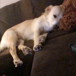 Meet your Posher, Justice